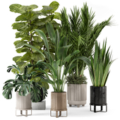 Indoor Plants in Ferm Living Bau Pot Large - Set 333