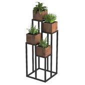 Rack for indoor plants and flowers 3