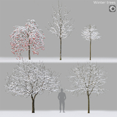 Winter trees # 1