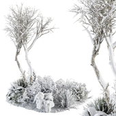 Outdoor Plants in Plant Box Snowy - Set 345C