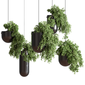 Name Indoor Plants Hanging Pot Metal Vase 01