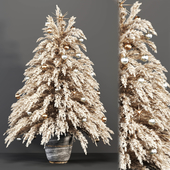 Christmas tree - Dried Plant-002