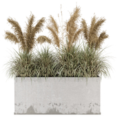 Outdoor Plants Bush in rusty Concrete Pot - Set 385