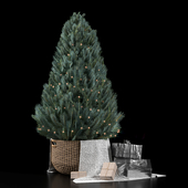 Christmas tree (pine)