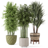 Indoor Planters in Cecilia Ficonstone Pot - Set 448