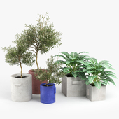 Concrete planters with handles