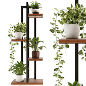 Collection Indoor Plants Set Nim03