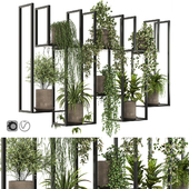 Indoor hanging Plants 2
