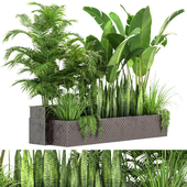 Outdoor Plant in Metal Shelf - Vol3