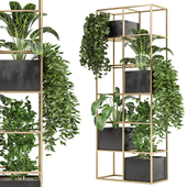 Indoor Plants Collection - Set 252