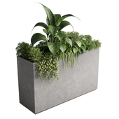 Box Plants on Stand - collection of houseplants outdoor concrete vase 82