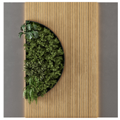 Indoor Wall Vertical Garden in Wooden Base - Set 526