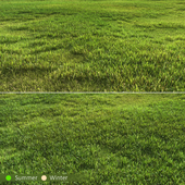 Tileable Grass 2