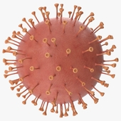 Coronavirus v1
