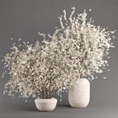 Bouquet Collection 03 - Decorative Branches in Concrete Vases