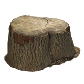 Sawn stump 01
