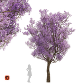 Spring purple Tree with flowers