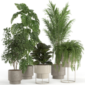 indoor plant set 021