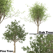 Pine and Oak Trees (2 Trees)