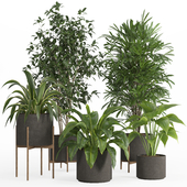 indoor plant set 022