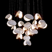 Suspended light composition Mollusca