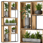 Collection Indoor Plants Nim10