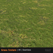 Grass texture 01