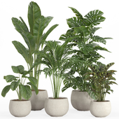 indoor plant set 023