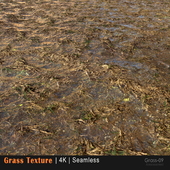 Grass texture 09