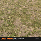 Grass texture 06