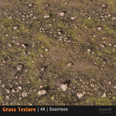 Grass texture 05