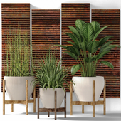 Collection of plants in pots 6. Flower, pot, bush, flowerpot, interior, indoor, alocasia, copper decor, panels, wall decor, Uttermost, paintings, abstraction, luxury