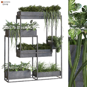 interior vertical plant set 307