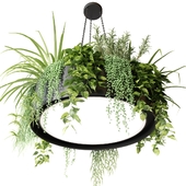 Round planter lamp with plants