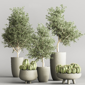 indoor_plant_stand_54_vray