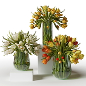 White, yellow and orange tulips in glass vases