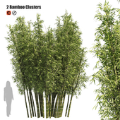 2 Bamboo Clusters