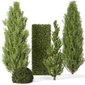 Outdoor Plants Bush -Bush Set 749