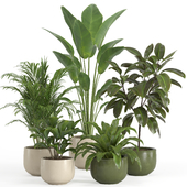 indoor plant set 025