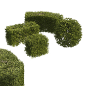 4 shaped topiary plant