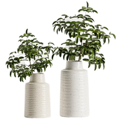 Crate & barrel - Holden Speckled White Vases