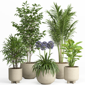 indoor plant set 026