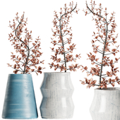 Ekua Ceramics Midnight Vase with plants