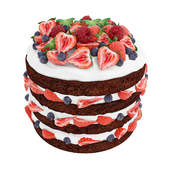 Berry chocolate cake