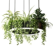 Ring planter lamp with plants 1.5m