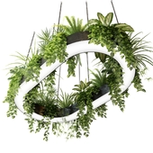 Ring planter lamp with plants 1.5m x 2.5m