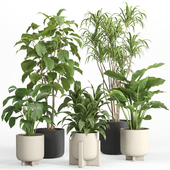 indoor plant set 027