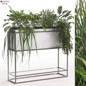 interior green plant in box for home set 335