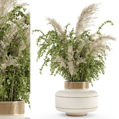 Dry Plants Bouquet Collection In Concrete Pot - Set 851