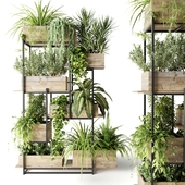 Metal rack with plants in wooden boxes